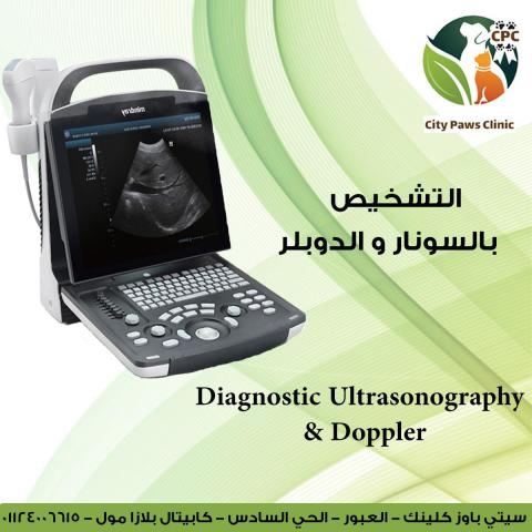 Ultrasound