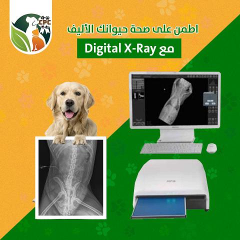 Digital X-Ray