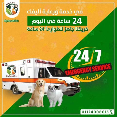 خدمة رعاية 24 ساعة في اليوم